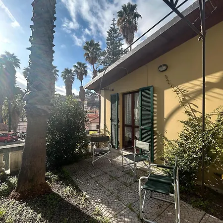 Palm & Flowers - Sanremo