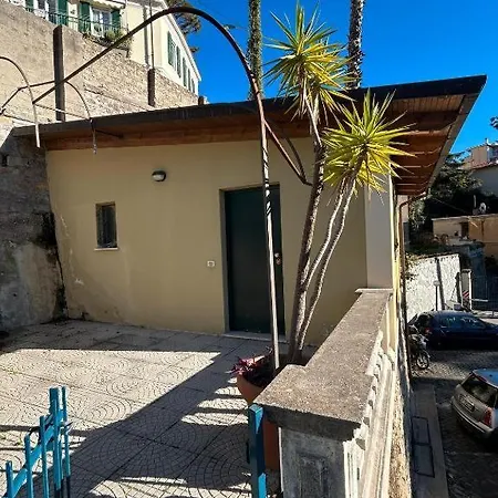Palm & Flowers - Ferienhaus *